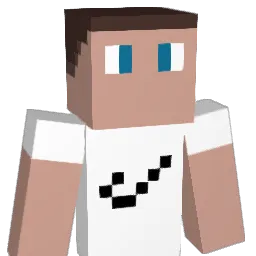 DS_20 Minecraft avatar bust