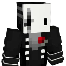 DS_JR