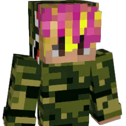 DS_PRO Minecraft avatar bust