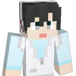 DS_Yang Minecraft avatar bust