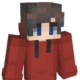 DSchwag15 Minecraft avatar bust