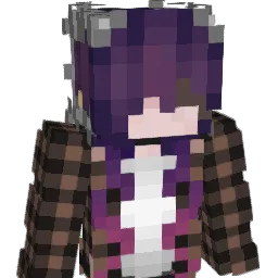 DShelties Minecraft avatar bust
