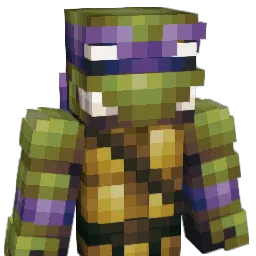 DTOlesen