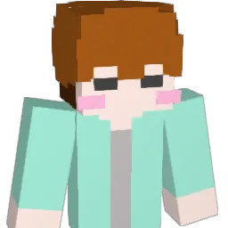 DT_DONGDONG Minecraft avatar bust