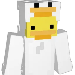 DUCKDUCKGOOOSEE Minecraft avatar bust