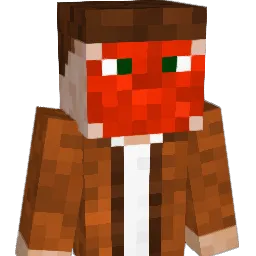 DUCKTOWNGOON Minecraft avatar bust