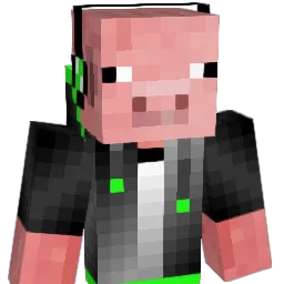 DUDESTAR20 Minecraft avatar bust