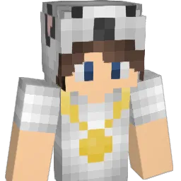 DUXIYT123 Minecraft avatar bust
