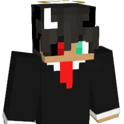 DVD9 Minecraft avatar bust