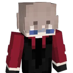 DVRCI Minecraft avatar bust