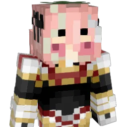 DVader2522 Minecraft avatar bust