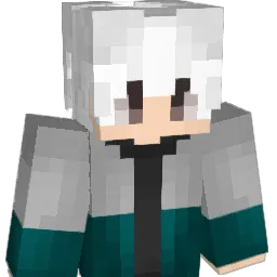 DWD_btw Minecraft avatar bust