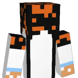 DWall27 Minecraft avatar bust
