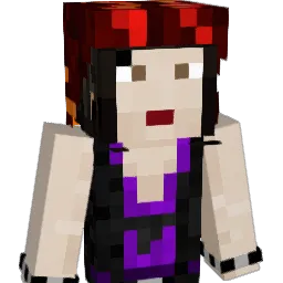 DWynter44 Minecraft avatar bust
