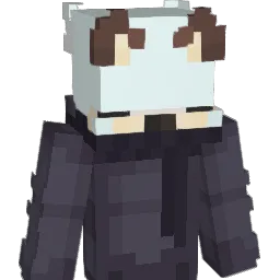 DYDYCRAFT15 Minecraft avatar bust