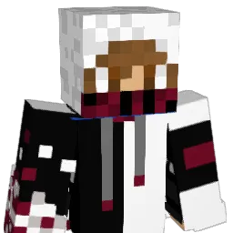 DZBEAST101 Minecraft avatar bust