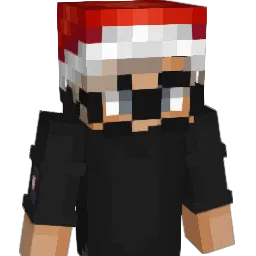 D_SsBattleKingZx Minecraft avatar bust