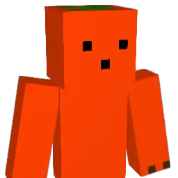 D_h325 Minecraft avatar bust