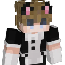 DaDaDaDisco's Minecraft skin
