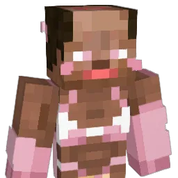 DaFireIsOn Minecraft avatar bust