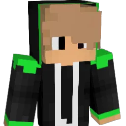 DaMaGe_TR Minecraft avatar bust