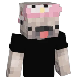 DaMisto's Minecraft skin