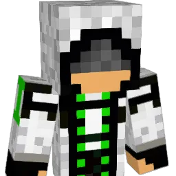 DaSiNMC