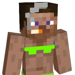 DaVinci6969 Minecraft avatar bust