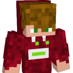 Da_LeitnerBua Minecraft avatar bust