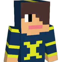 Daannyy71 Minecraft avatar bust