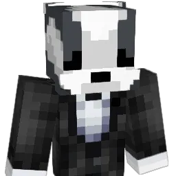 Dachs_4000 Minecraft avatar bust