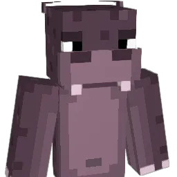 Daddy_Duck47 Minecraft avatar bust