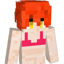 Dal8008 Minecraft avatar bust