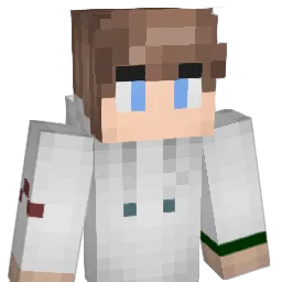 Dalaimendt Minecraft avatar bust