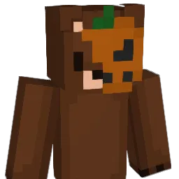 DallasNolan Minecraft avatar bust