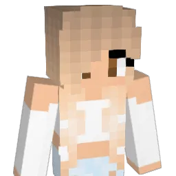 DamPapa00 Minecraft avatar bust