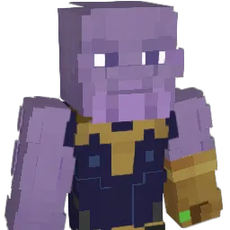 Damian60224 Minecraft avatar bust