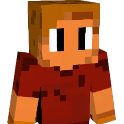 Dammi007 Minecraft avatar bust