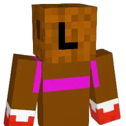 DampBallBag