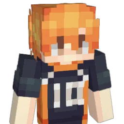 DanQR11 Minecraft avatar bust