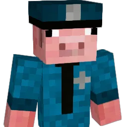 DanSw4qq Minecraft avatar bust