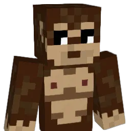 Dangerous10 Minecraft avatar bust