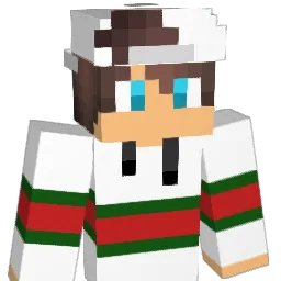 DaniMic2006 Minecraft avatar bust