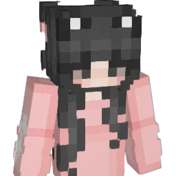Danica14 Minecraft avatar bust