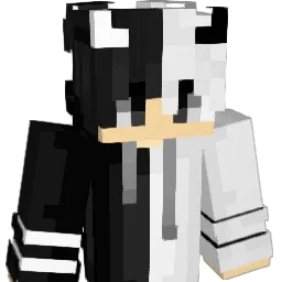 Danji2627 Minecraft avatar bust