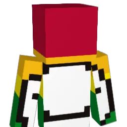 DankestBeatle21 Minecraft avatar bust