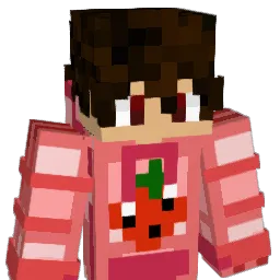 Danonenh0 Minecraft avatar bust