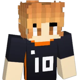 Dansori00 Minecraft avatar bust