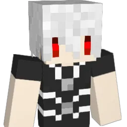 DansunPro Minecraft avatar bust