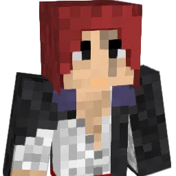 Darius17's Minecraft skin